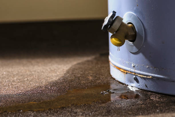 Best Carpet water damage restoration  in White Oak, PA