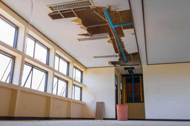 Best Water damage restoration cost  in White Oak, PA