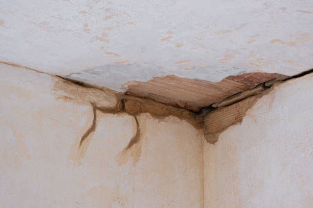 Best 24/7 water damage repair  in White Oak, PA