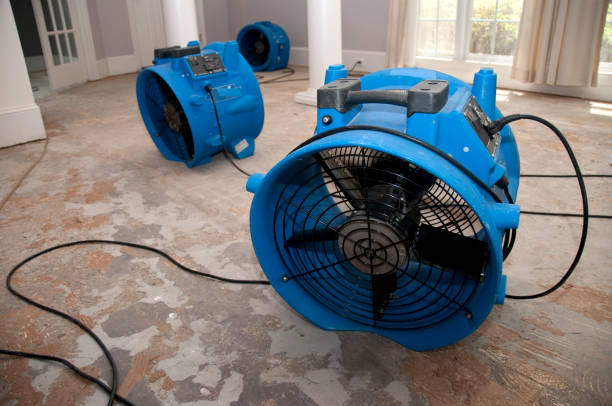 Best Sewage cleanup and water damage restoration  in White Oak, PA