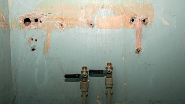 Best Water damage restoration near me  in White Oak, PA
