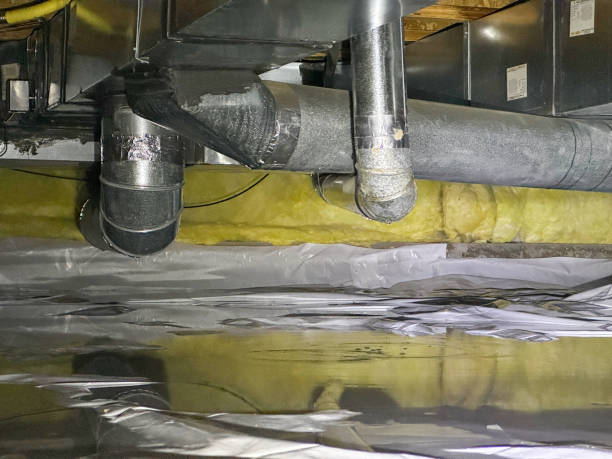 Best Water damage cleanup near me  in White Oak, PA