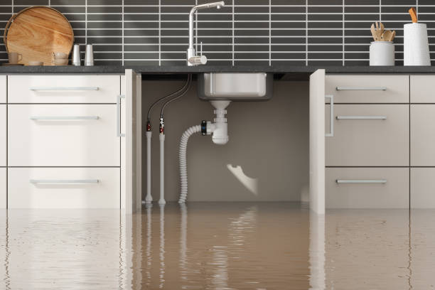 Reliable White Oak, PA Water damage restoration Solutions