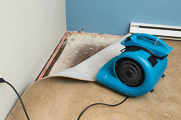 White Oak, PA Water damage restoration Company